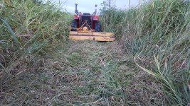 20160808_064817.jpg