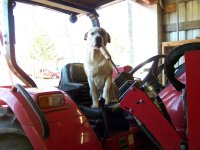 1-23-16 Tucker Wants to Drive the Tractor Resized.jpg