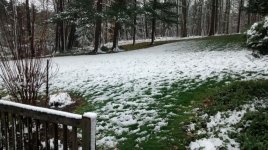 yard.jpg