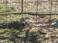 20160225_104349.jpg
