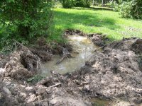 6-5-16 Moat I Dug Yesterday.jpg