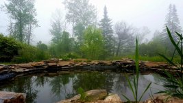 pond-first-fill.jpg
