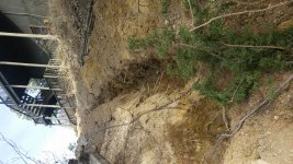 20160303_154513.jpg