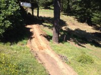 IMG_0253.jpg