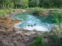 7-16-16 All 18 Ducks Checking Out Progress.jpg