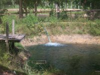 7-15-16 Filling Small Pond After Capping Pipe.jpg 7-15-16 Filling Small Pond After Capping Pipe.jpg