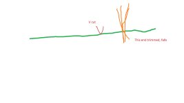tree-cut.jpg