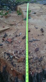 20160828_071039.jpeg