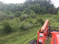 ImageUploadedByTractorByNet1465358442.227796.jpg