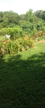 010.JPG