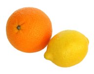 orange lemon.jpg