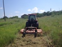 ImageUploadedByTractorByNet1460118253.630068.jpg