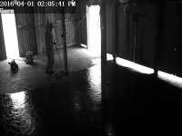IMG_0675.jpg IMG_0675.jpg