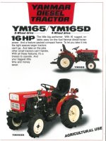 YM165D.JPG