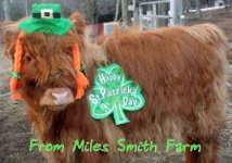st patric day.jpg