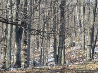IMG_8845.JPG