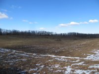 IMG_8843.JPG