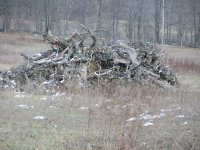 IMG_8844.JPG