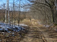 IMG_8863.JPG