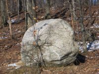 IMG_8868.JPG