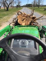 Hooks Holding Stump.jpg