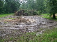 6-12-16 Huge New Burn Pile.jpg