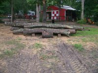 6-12-16 Wood Pile.jpg