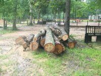 6-12-16 Wood Pile Other View.jpg