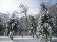DSCN0092.JPG