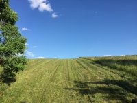ImageUploadedByTractorByNet1465878414.251849.jpg