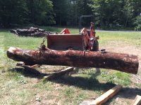 IMG_1893[1].JPG
