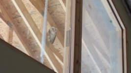 20160609_141526.jpg