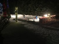 IMG_7357.jpg