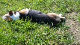20160520_092918.jpg