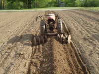 Planting Peanuts 001.jpg