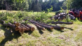 20160724_170313.jpg 20160724_170313.jpg