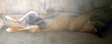 riley sleep.jpg