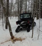 defendertree.dl.jpg