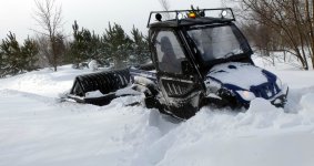 Rhino stuck winter 2014.jpg