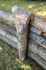 fence3.jpg