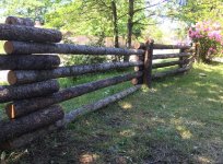 fence4.jpg