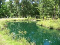 6-19-16 Pond Silted In After Water Goes Down.jpg