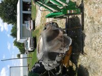 20160618_124822.jpg