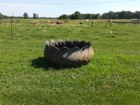 20160618_154101.jpg