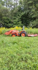 mowing 1.jpg