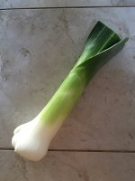 image-2059935354.jpg