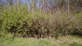 IMG_20160415_094955380.jpg
