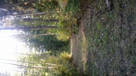 20160915_MowMavTrail (1) (576x1024).jpg