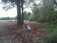 Pet Cemetary.jpg Pet Cemetary.jpg