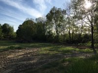 Pole Barn Site.jpg Pole Barn Site.jpg